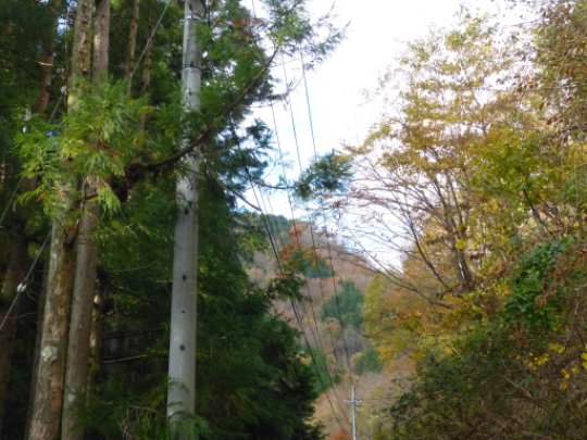画像6